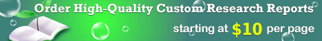 Custom Research Report on Customer Satisfaction
